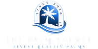 The Palm Source